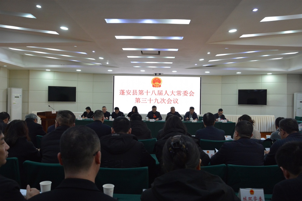 三十九次常委会.JPG