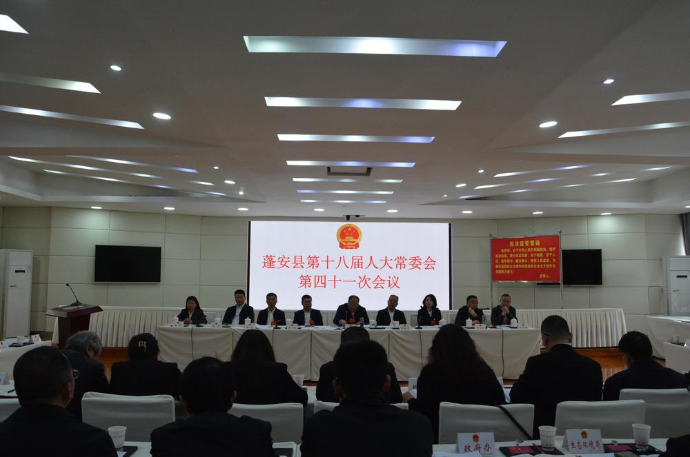 四十一次常委会(1).JPG
