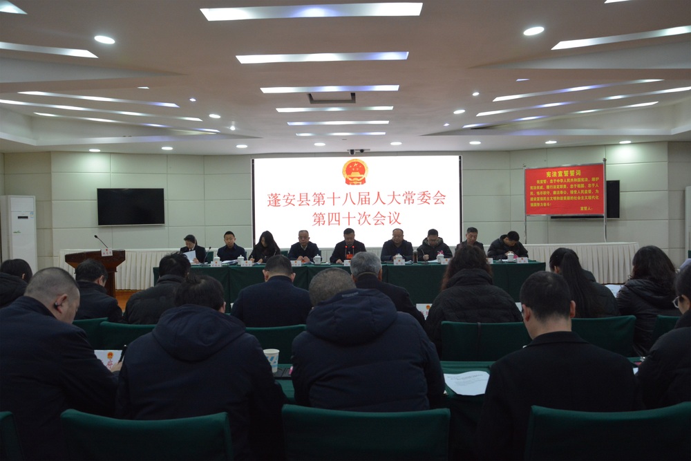 四十次常委会.JPG